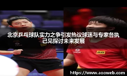 北京乒乓球队实力之争引发热议球迷与专家各执己见探讨未来发展