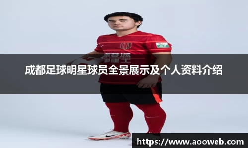 成都足球明星球员全景展示及个人资料介绍